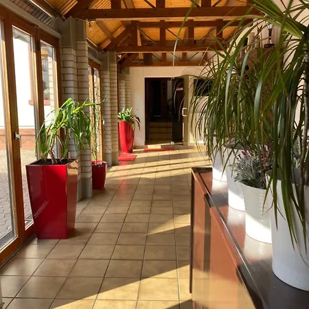 Hotel Hotel Alessandro
