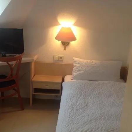Hotel Alessandro Hotel 3*